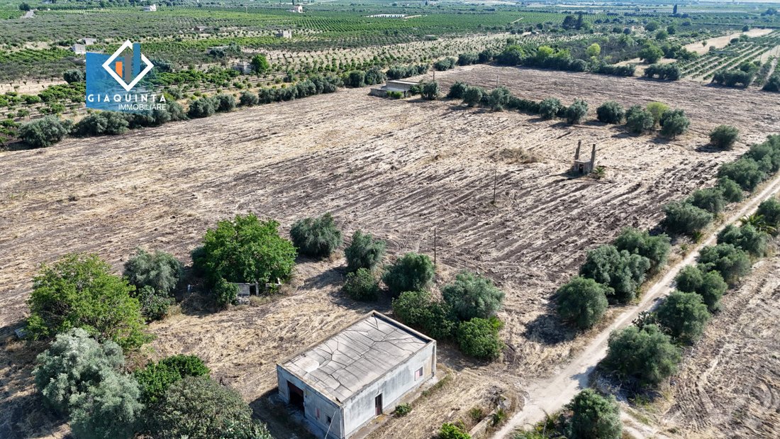 Land in Mineo, Sicily, Italy 4 - 16219291