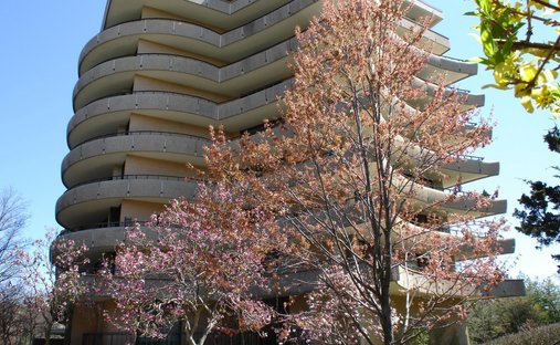 Apartment in Washington, District of Columbia, United States 1