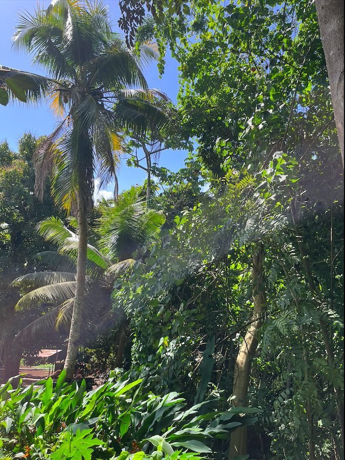 Land in Arue, Windward Islands, French Polynesia 4 - 16214965
