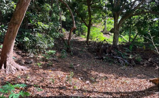 Terreno a Arue, Isole del Vento, Polinesia Francese 1