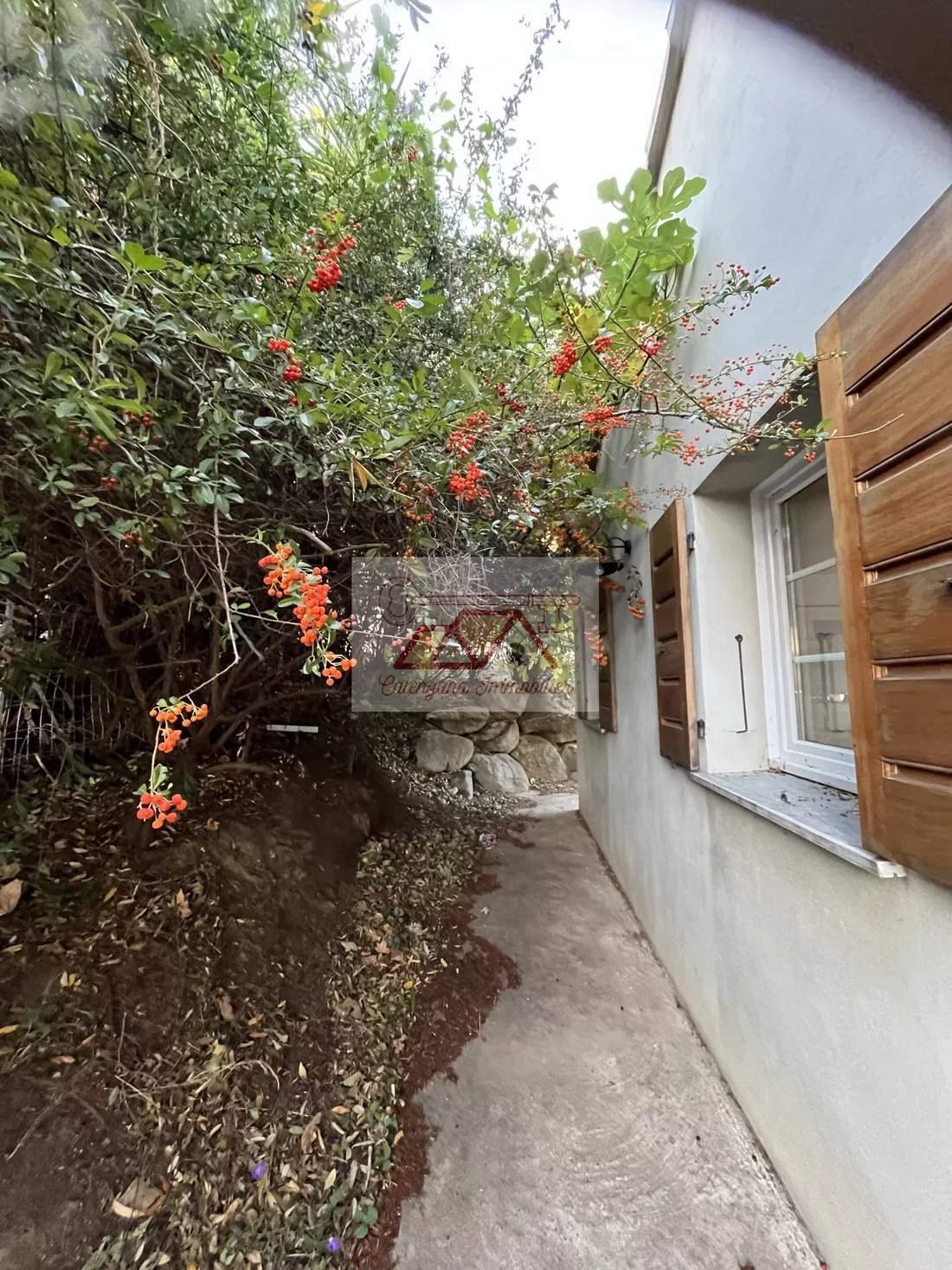 Villa in Montegrosso, Corsica, France 5 - 16209333