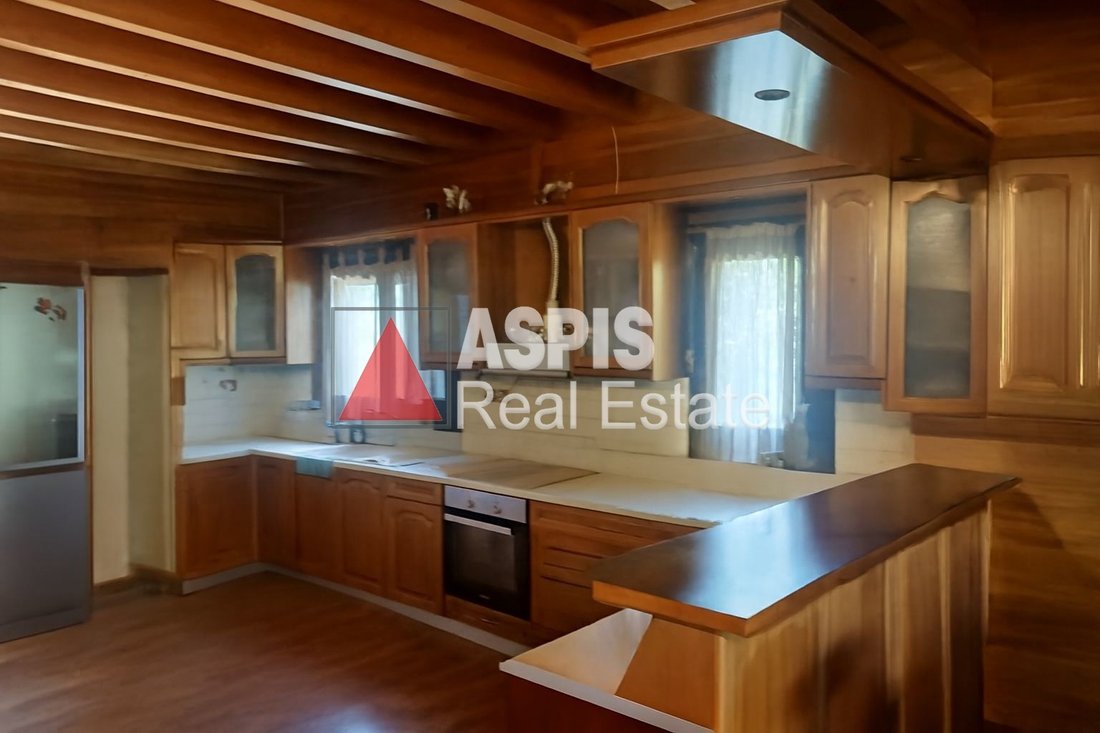 House in Kropia, Attica, Greece 1 - 16213257