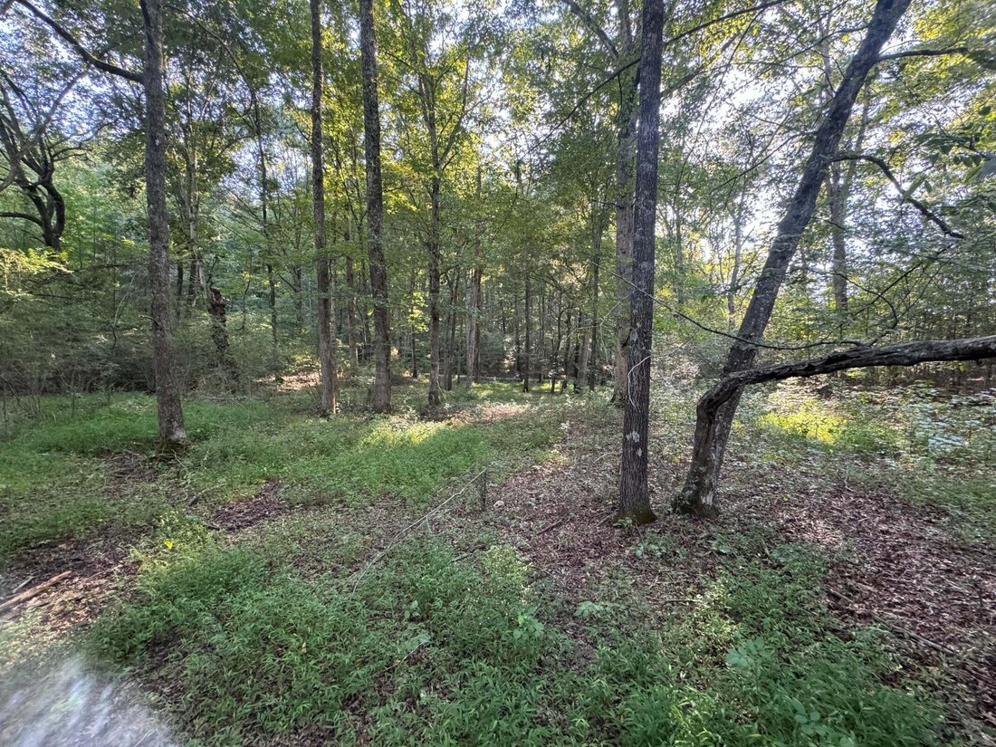House in Dunlap, Tennessee, United States 5 - 11952276