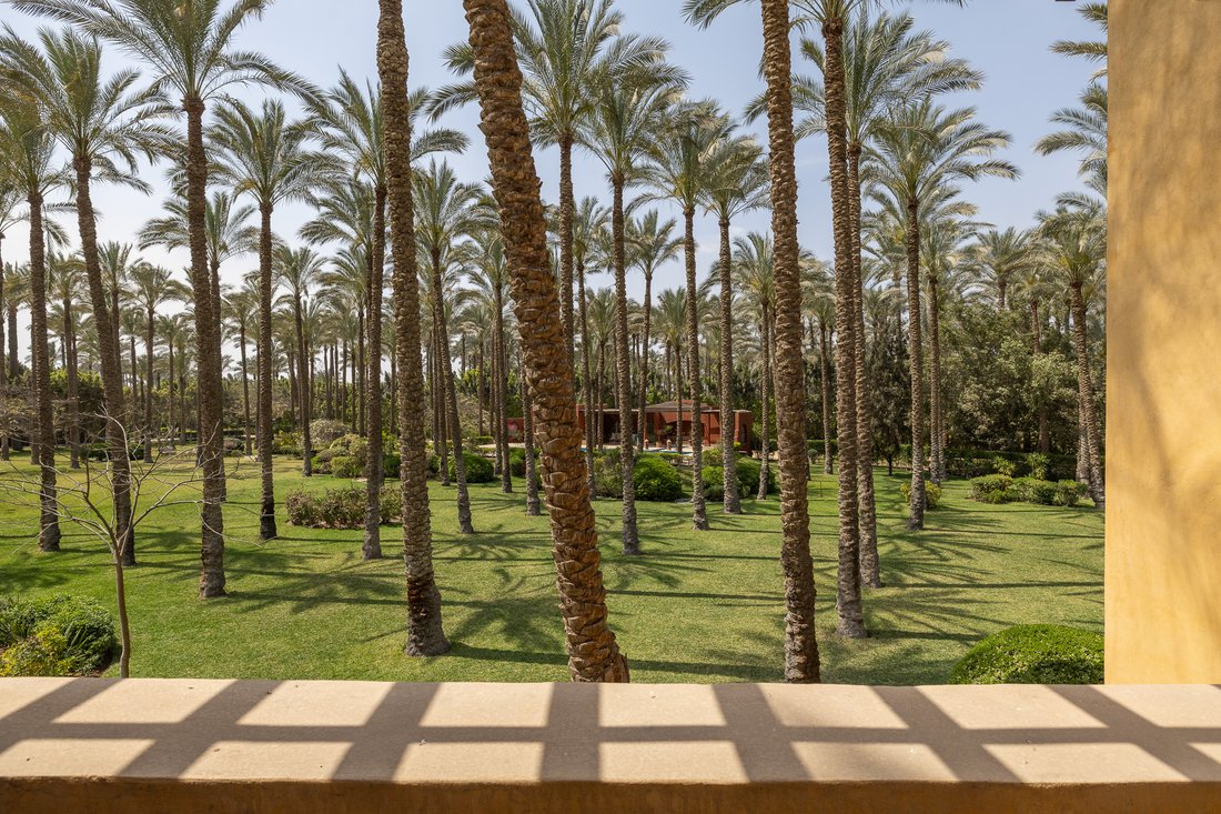 House in Mansoureya, Giza Governorate, Egypt 5 - 16220094