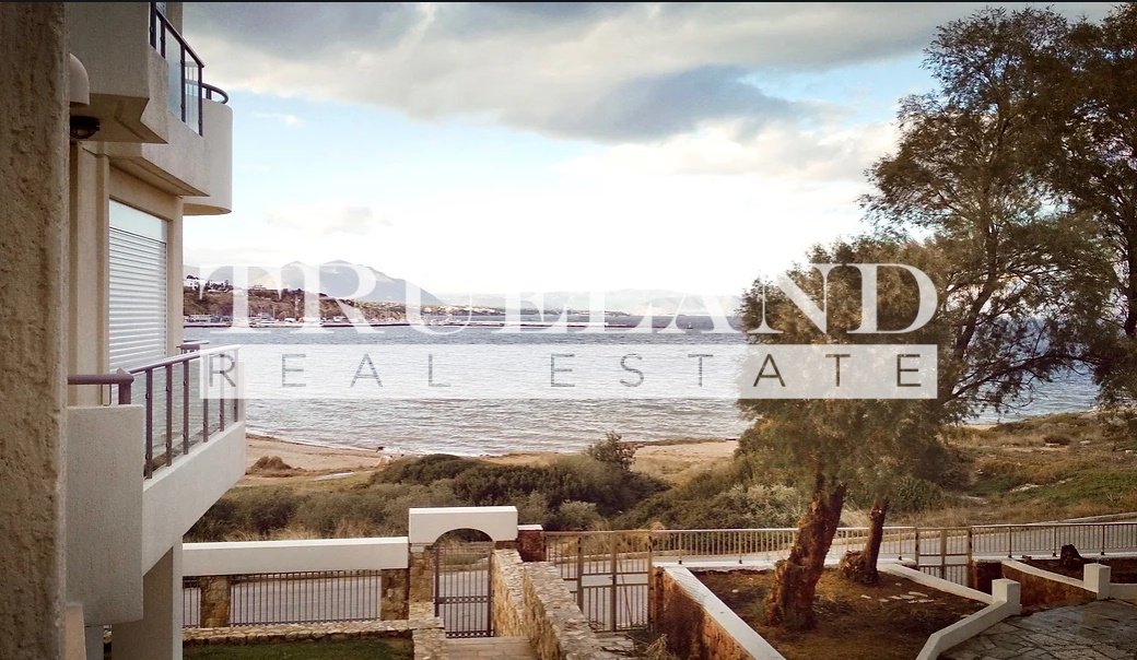 Rafina, Attica, Greece 5 - 16222985