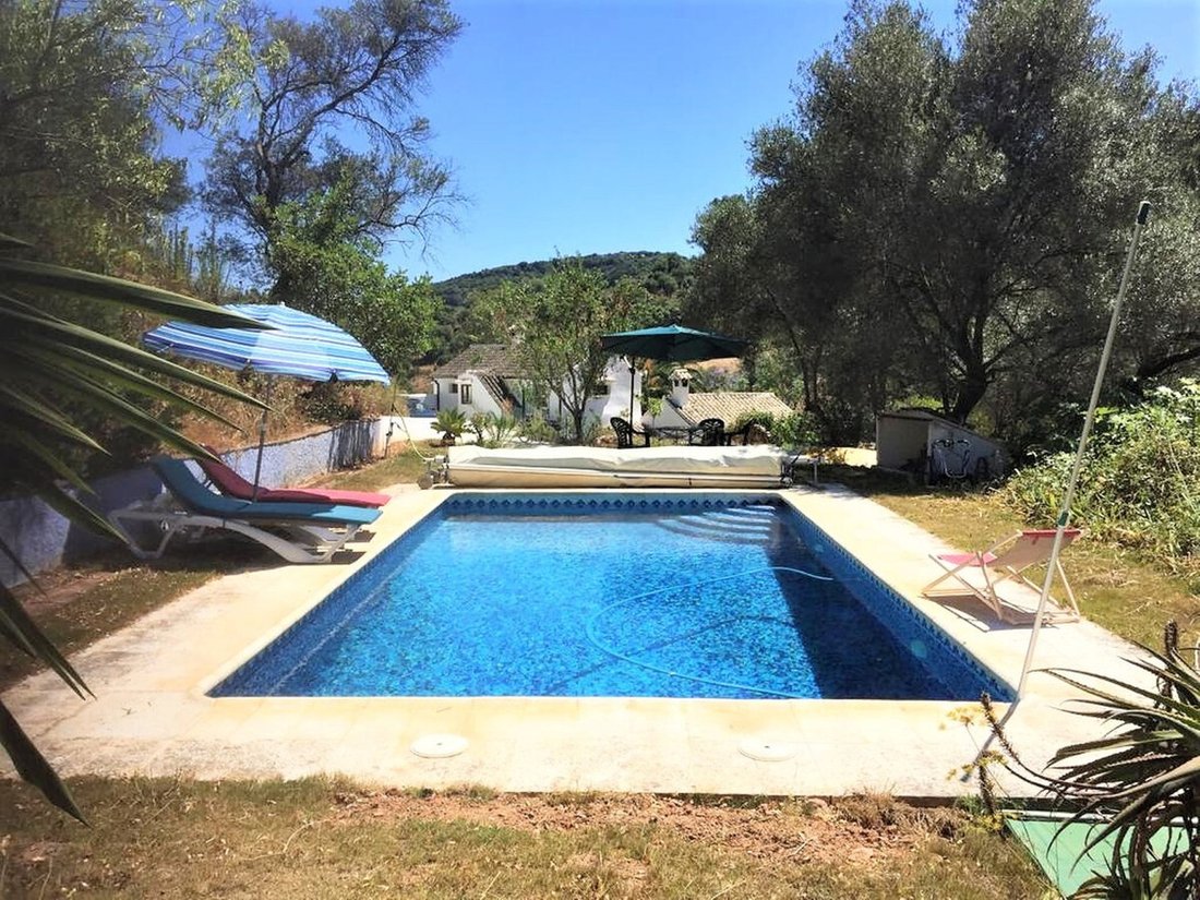 House in Casares, Andalusia, Spain 4 - 16220728