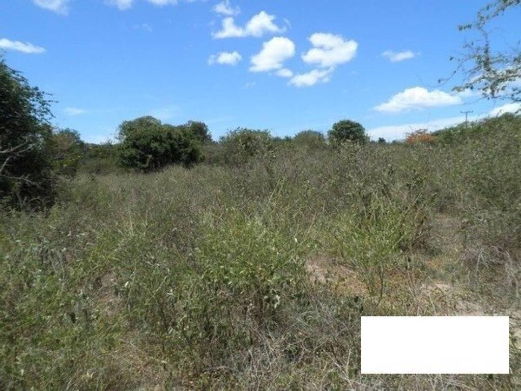 16 Rai Of Land For Sale
