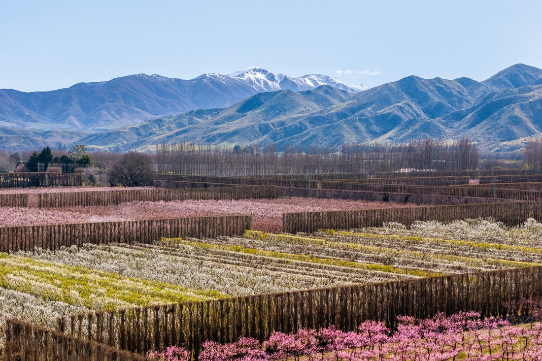 Land in Otiake, Canterbury, New Zealand 1 - 16222569