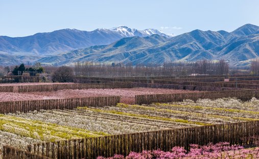 Land in Otiake, Canterbury, Neuseeland 1