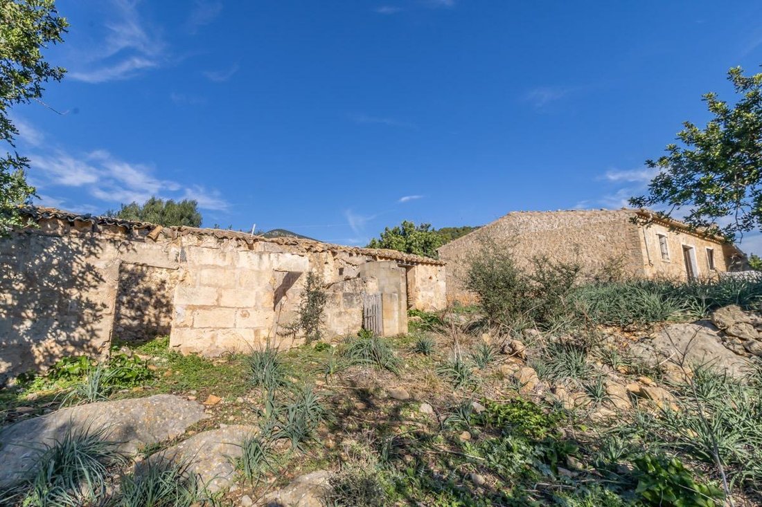 Country House in Alaro, Balearic Islands, Spain 4 - 16223409