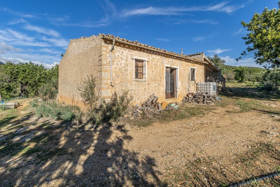 Country House in Alaro, Balearic Islands, Spain 5 - 16223409