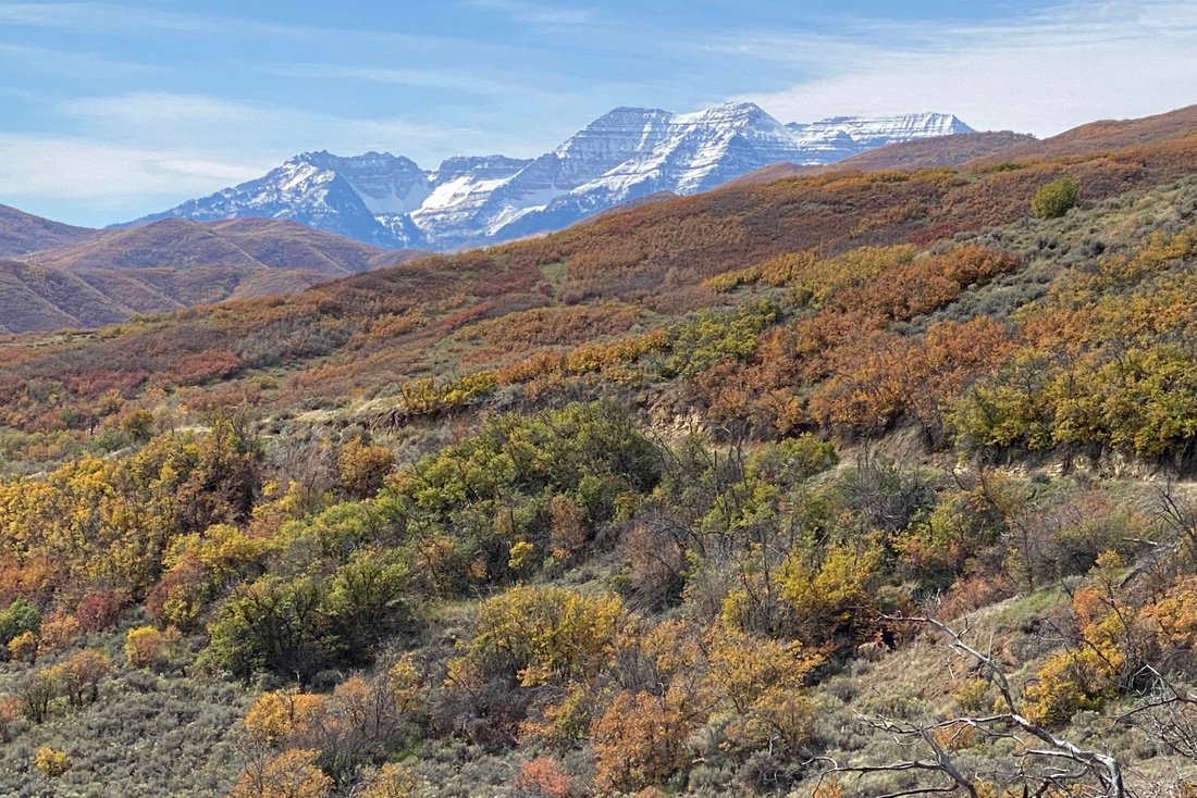 Land in Midway, Utah, United States 1 - 16224066