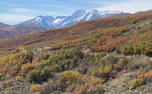 Terreno a Midway, Utah, Stati Uniti 1