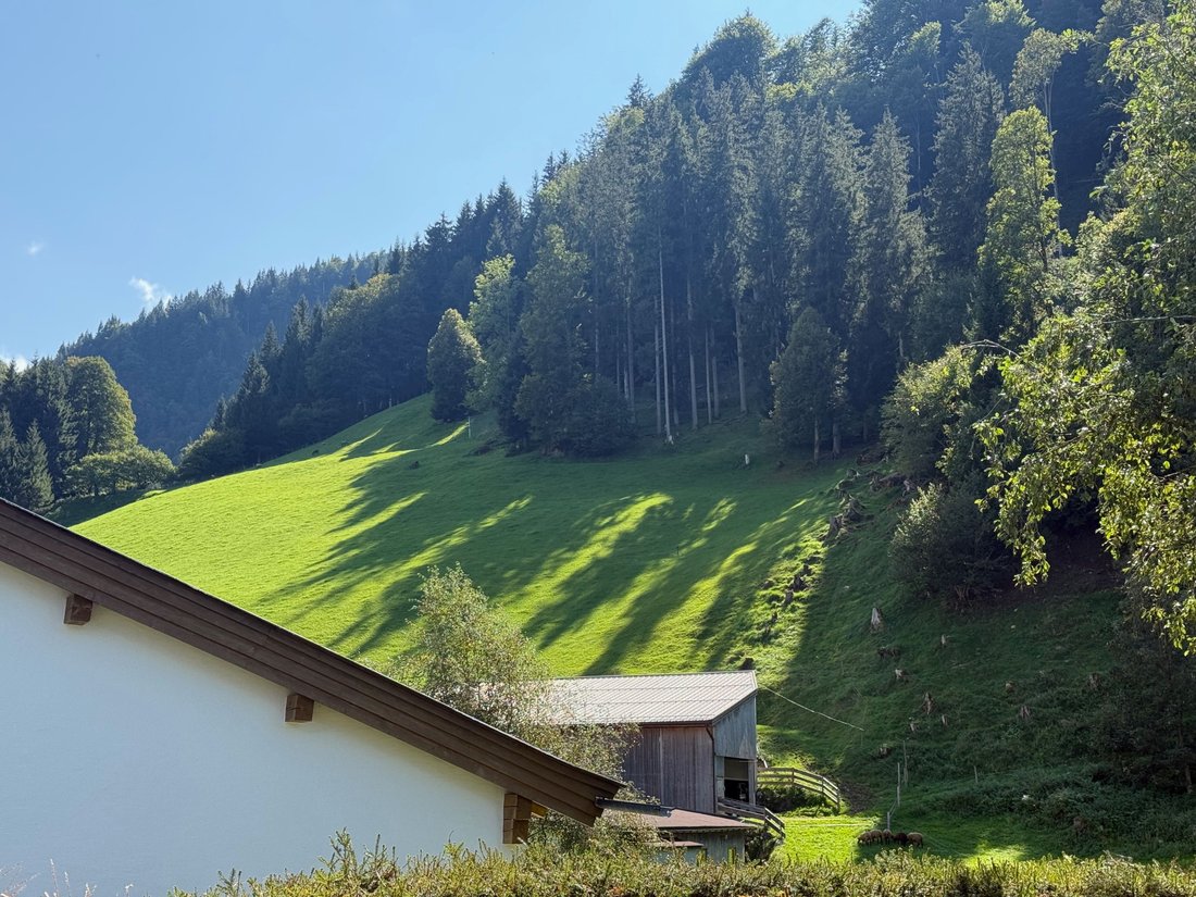 Apartment in Kitzbuhel, Tyrol, Austria 5 - 16223672