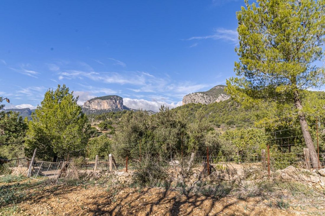 Country House in Alaro, Balearic Islands, Spain 1 - 16223409