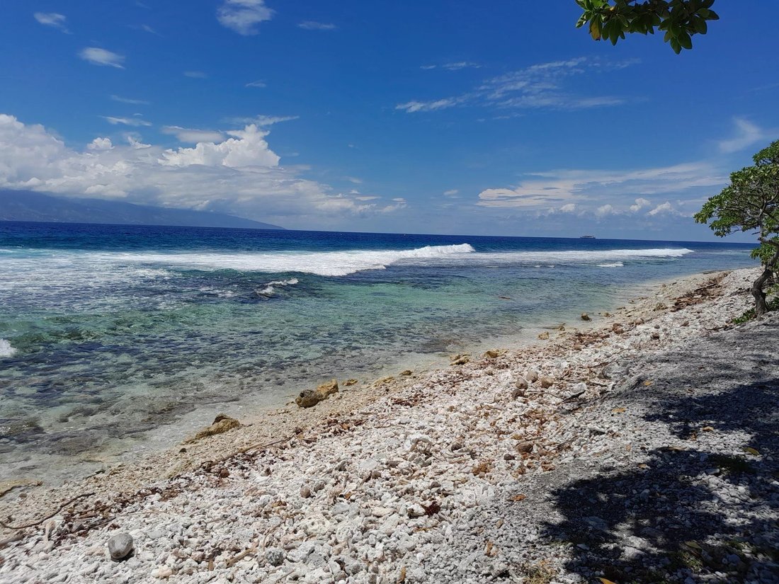Land in Moorea-Maiao, French Polynesia 5 - 16224580