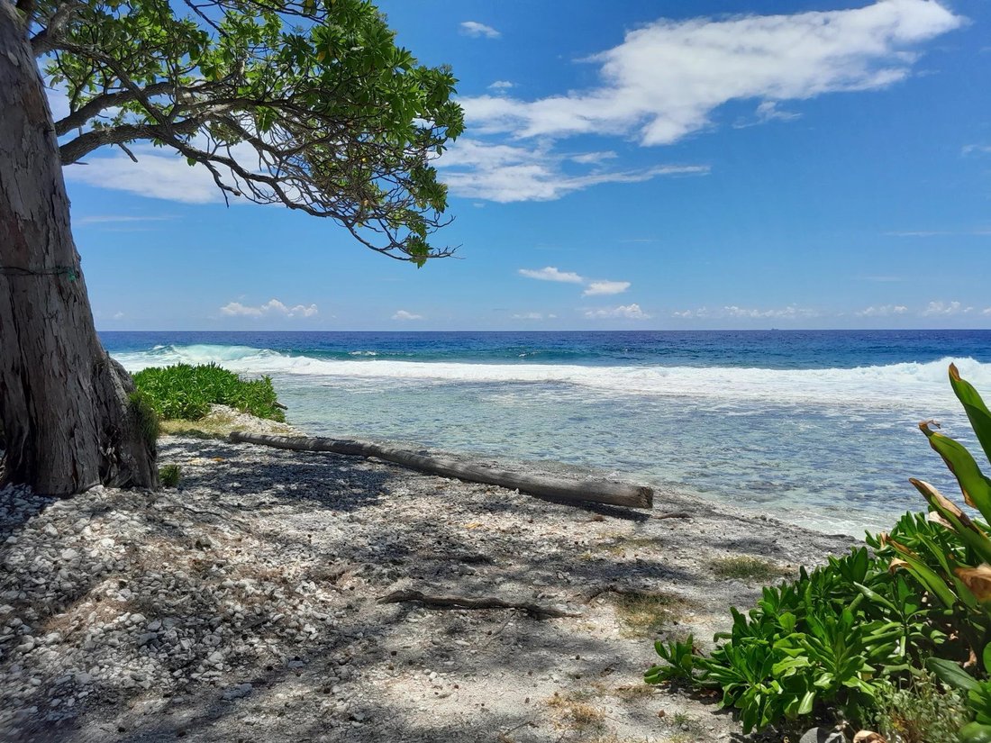 Land in Moorea-Maiao, French Polynesia 1 - 16224580