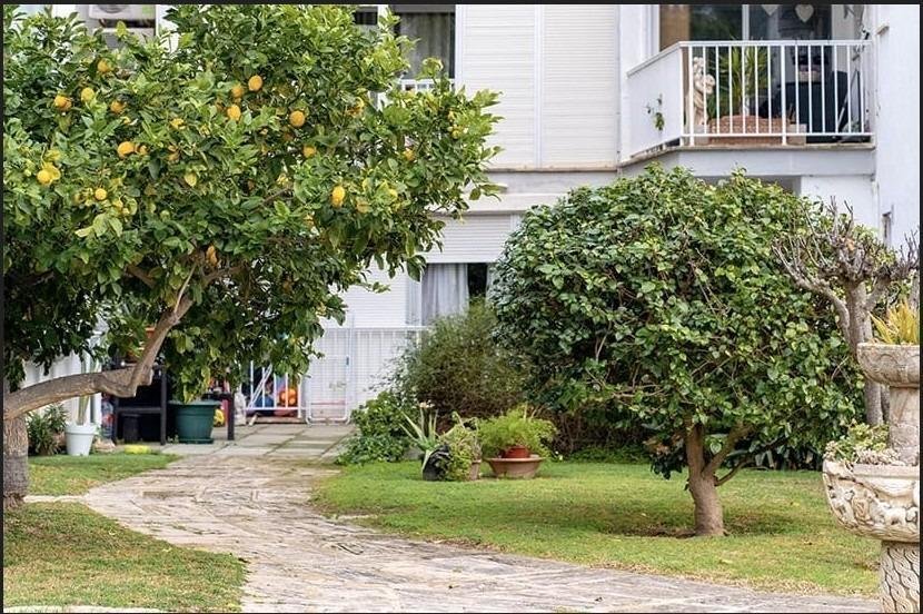 Apartment in Rotes Velles, Calvia, Balearic Islands 3 - 16223587
