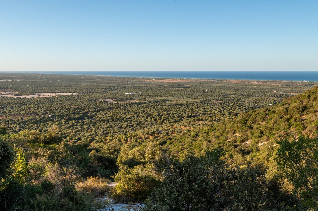 Farm Ranch in Contrada Guardariello-Giovanni Fasano, Ostuni, Apulia 4 - 16224770