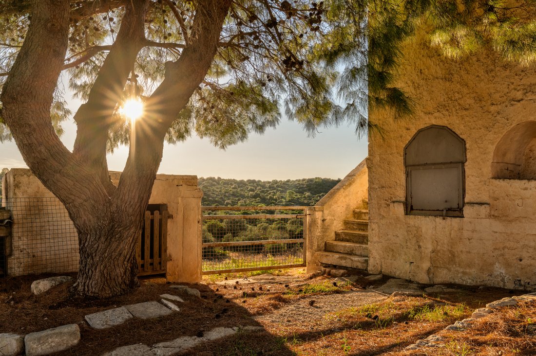 Farm Ranch in Contrada Guardariello-Giovanni Fasano, Ostuni, Apulia 2 - 16224770