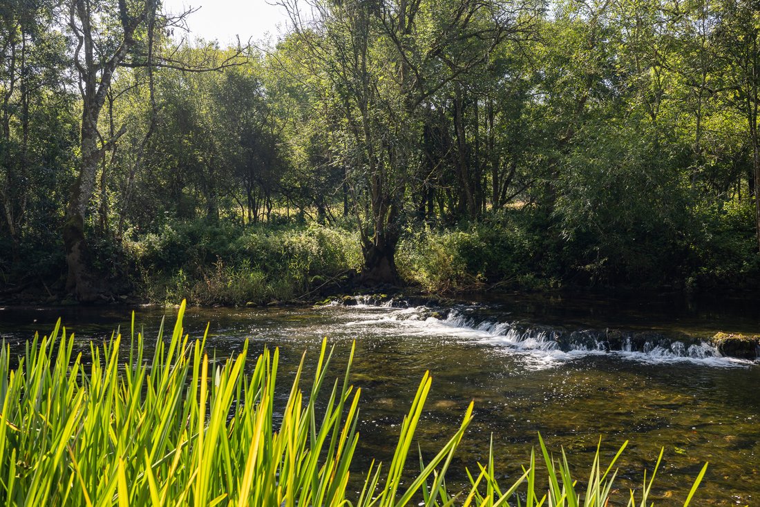 Stoneyford, County Kilkenny, Ireland 2 - 16224947