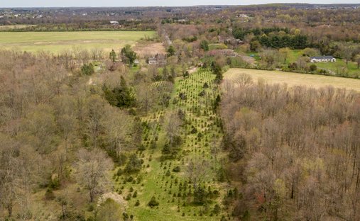 Land in Princeton, New Jersey, United States 1