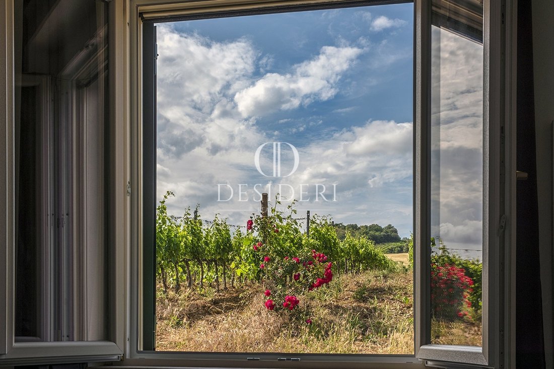 Country House in Magliano in Toscana, Tuscany, Italy 1 - 16230945