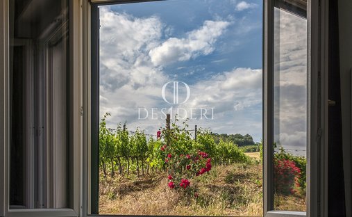 Country House in Magliano in Toscana, Tuscany, Italy 1
