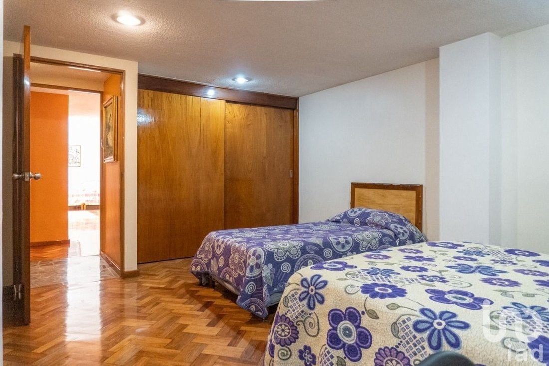 Apartment in Mexico City, Mexico 5 - 16226134