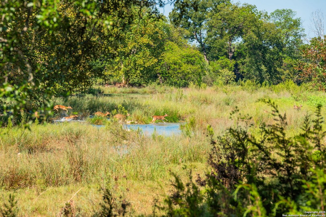 Farm Ranch in Roosevelt, Texas, United States 3 - 16230337