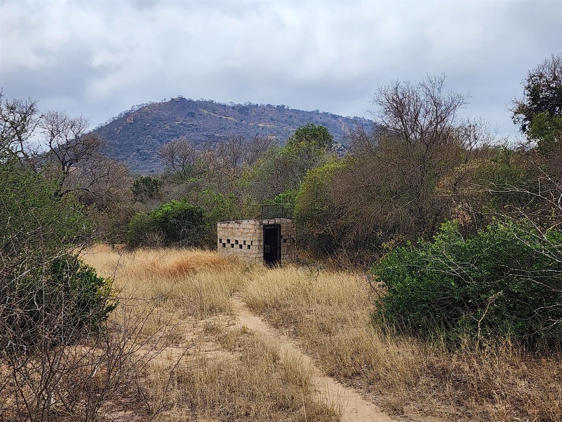 Farm Ranch in Tzaneen, Limpopo, South Africa 4 - 16229901