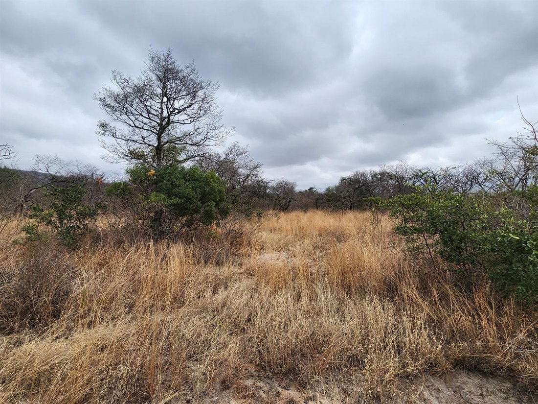 Farm Ranch in Tzaneen, Limpopo, South Africa 1 - 16229901