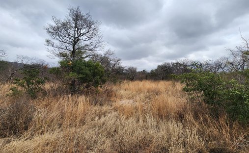 Farm Ranch in Tzaneen, Limpopo, South Africa 1