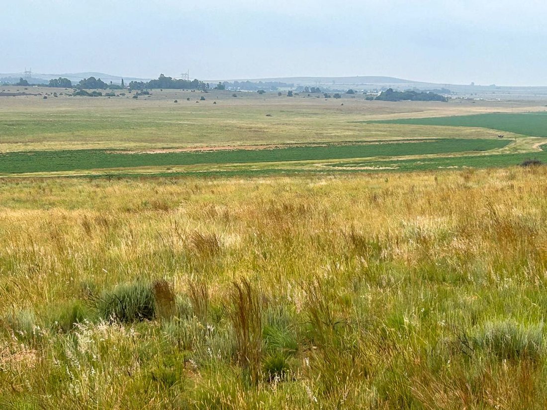 Farm Ranch in Potchefstroom, North West, South Africa 2 - 16226455