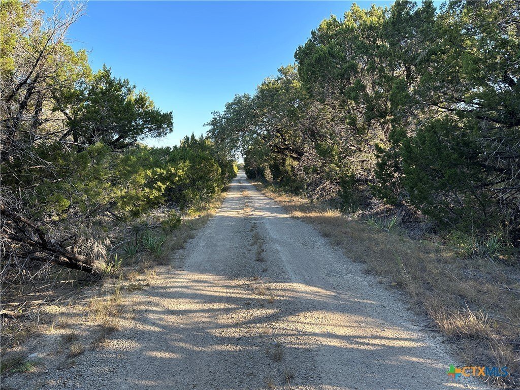 Farm Ranch in Salado, Texas, United States 4 - 16226906