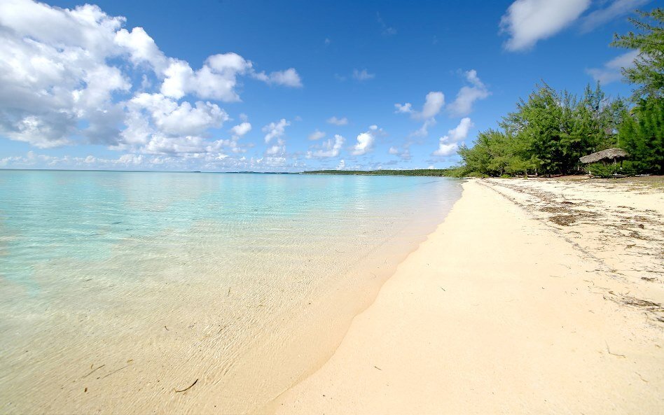 House in North Palmetto Point, Central Eleuthera, The Bahamas 4 - 16227251