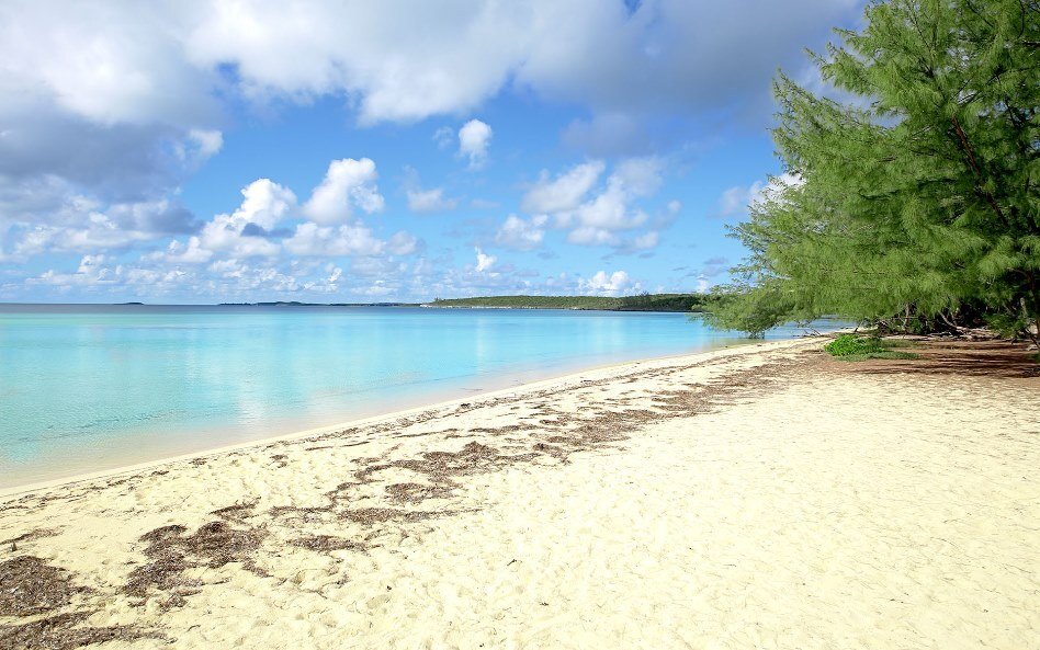 House in North Palmetto Point, Central Eleuthera, The Bahamas 3 - 16227251