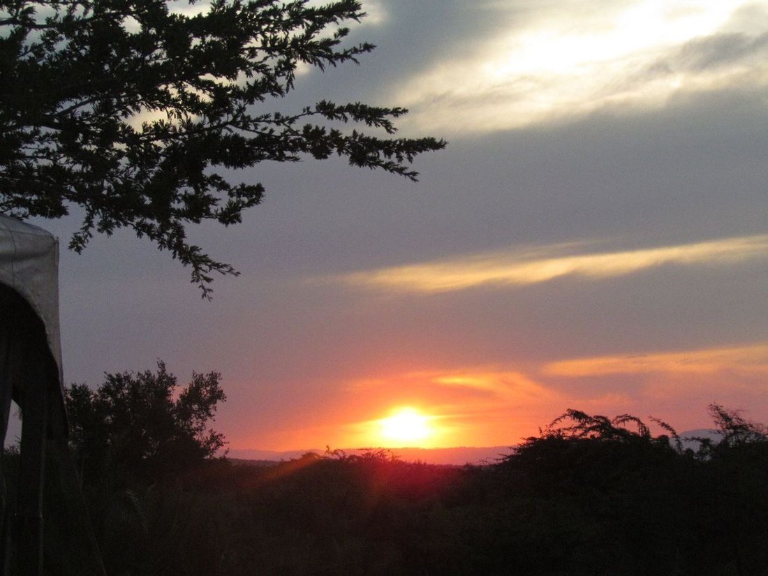Farm Ranch in Eshowe, KwaZulu-Natal, South Africa 2 - 16226469