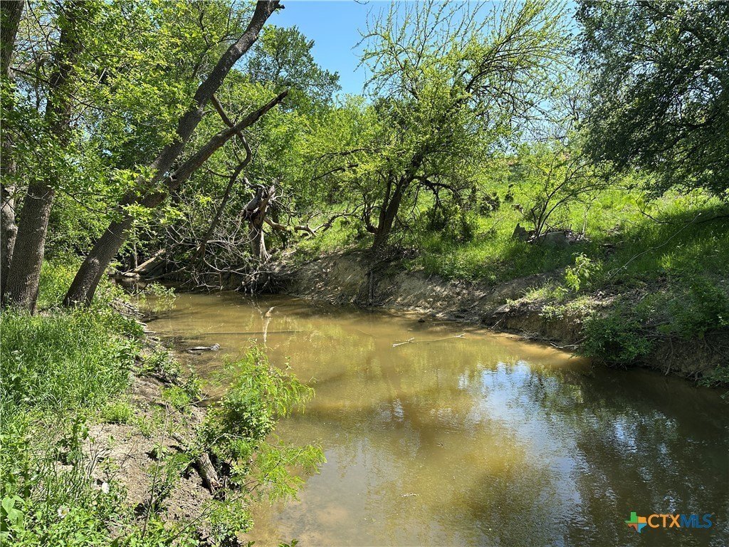 Farm Ranch in Bartlett, Texas, United States 4 - 16226907