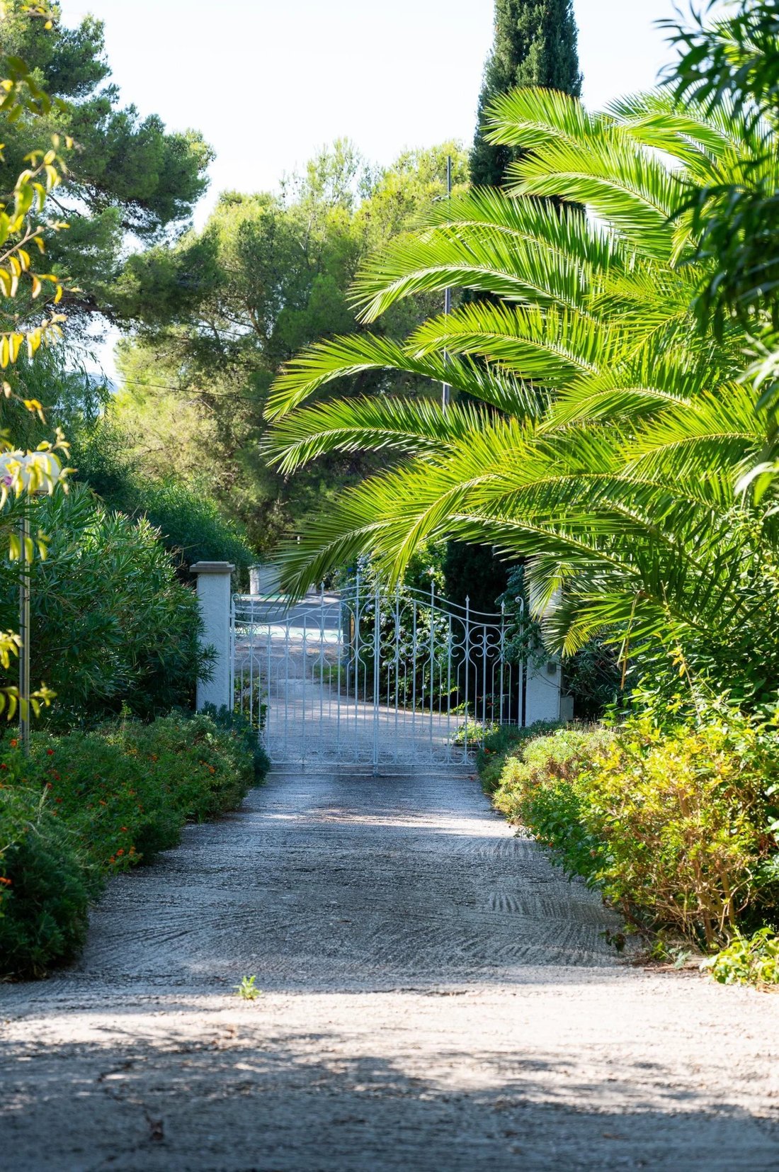 House in Hyeres, Provence-Alpes-Côte d'Azur, France 5 - 16225959