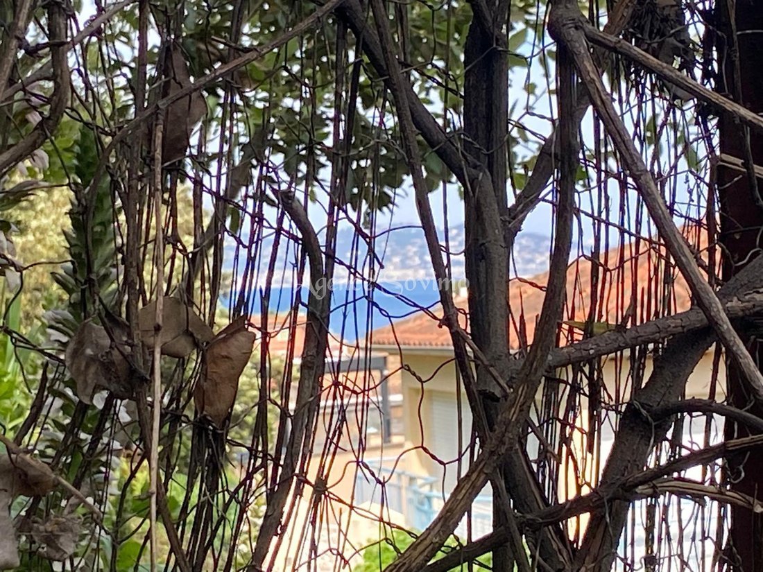House in Théoule-sur-Mer, Provence-Alpes-Côte d'Azur, France 1 - 16227496