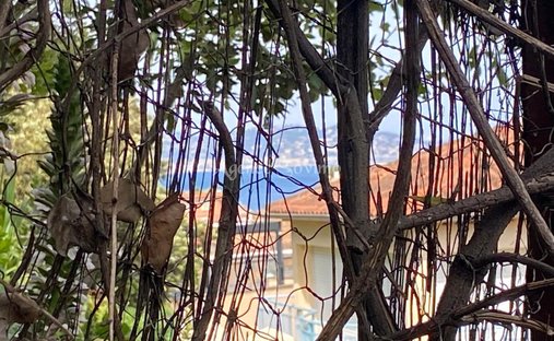 House in Théoule-sur-Mer, Provence-Alpes-Côte d'Azur, France 1