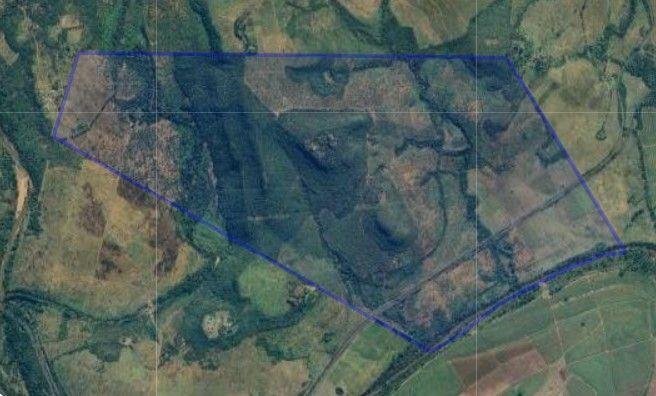 Farm Ranch in Richem, KwaZulu-Natal, South Africa 1 - 16226476