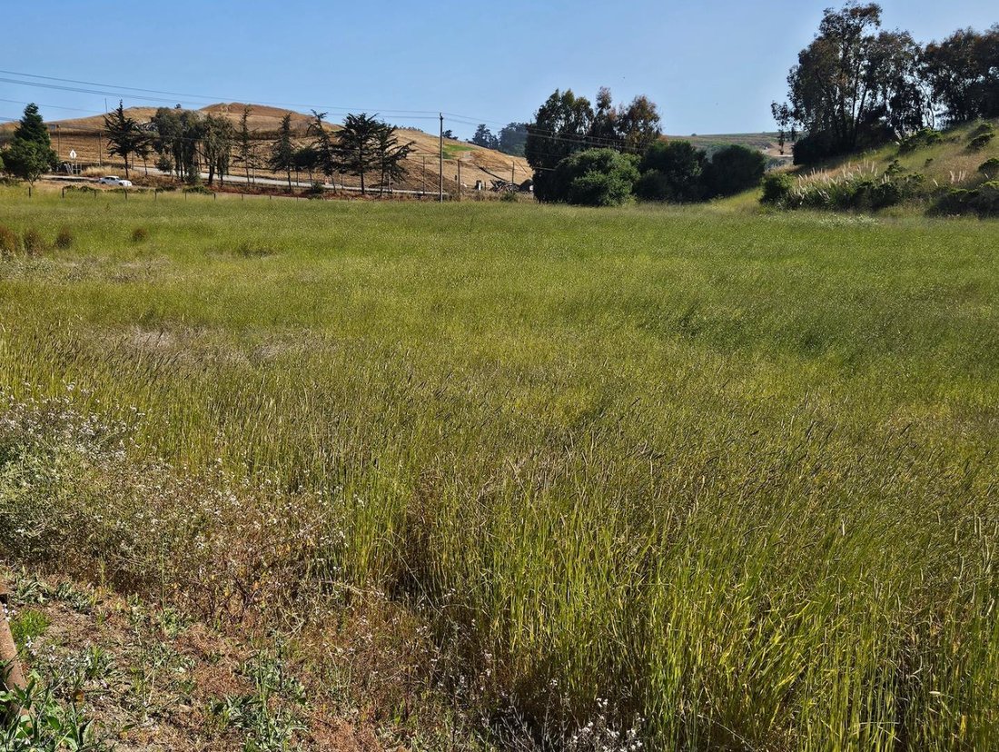 Land in Watsonville, California, United States 1 - 16226288