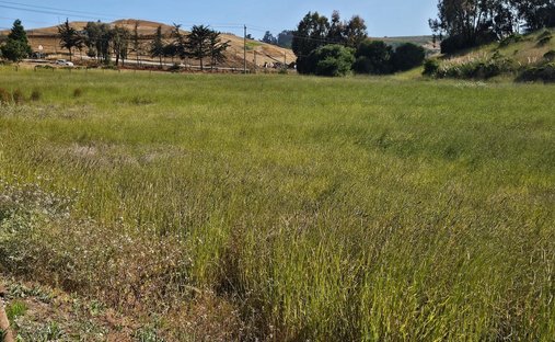 Land in Watsonville, California, United States 1