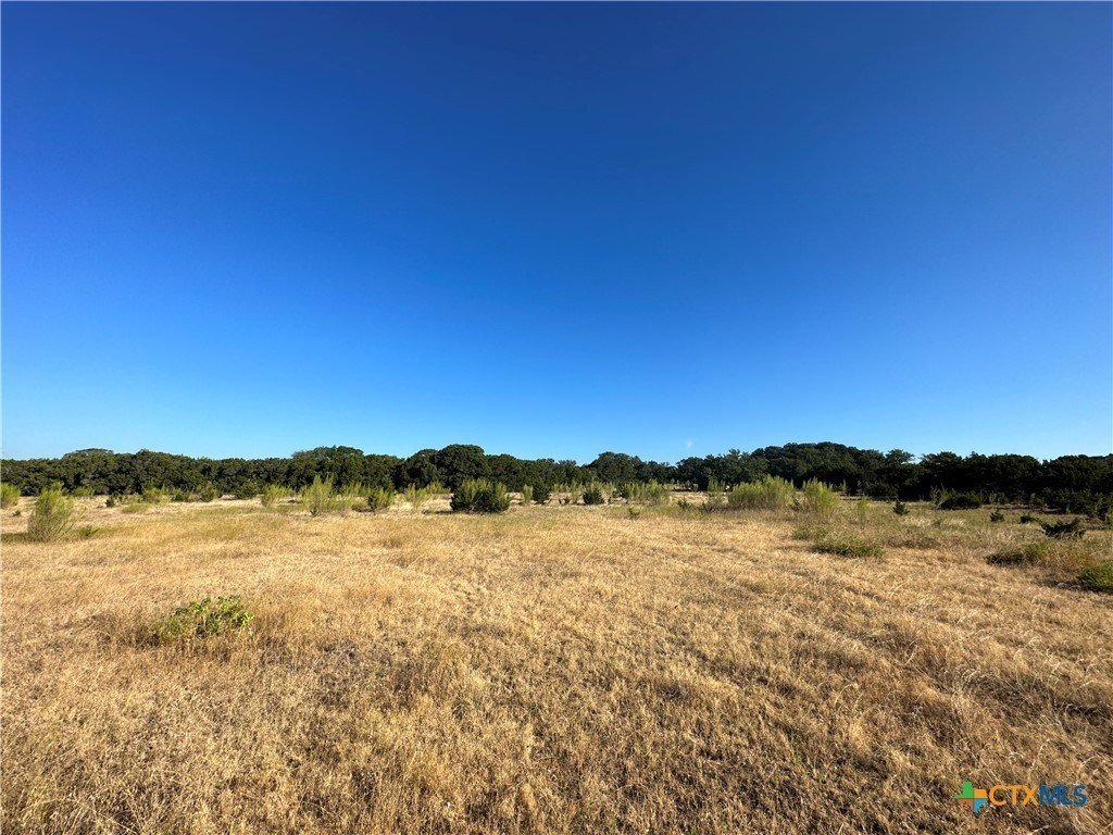 Farm Ranch in Salado, Texas, United States 5 - 16226906
