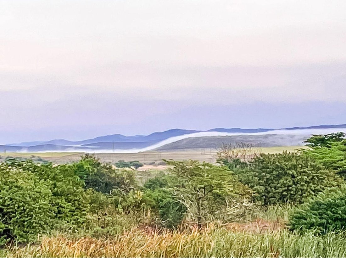 Farm Ranch in Eshowe, KwaZulu-Natal, South Africa 4 - 16226469