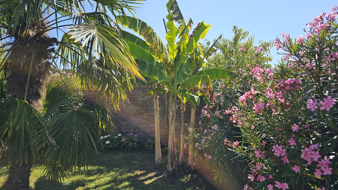 House in Le Fief-La Garenne, Royan, France 4 - 16125351