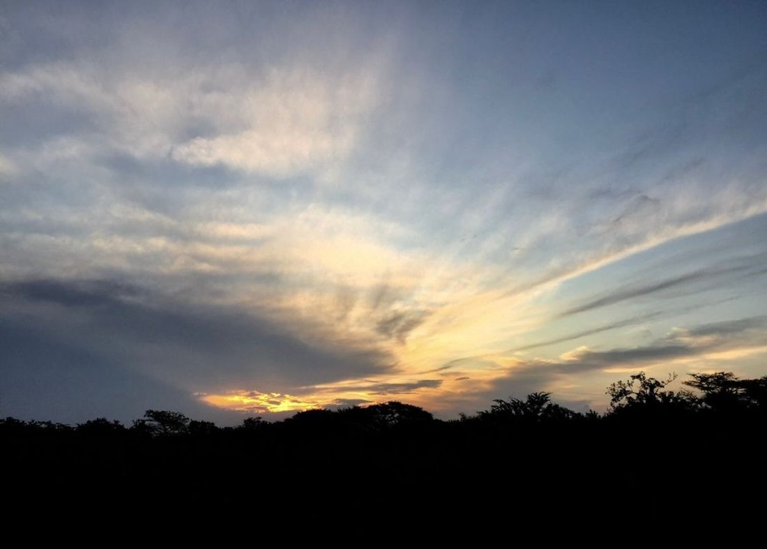 Farm Ranch in Eshowe, KwaZulu-Natal, South Africa 1 - 16226469
