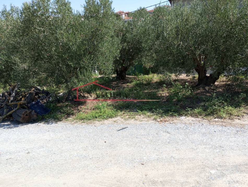 Land in Thermaikos, Macedonia and Thrace, Greece 5 - 16230985